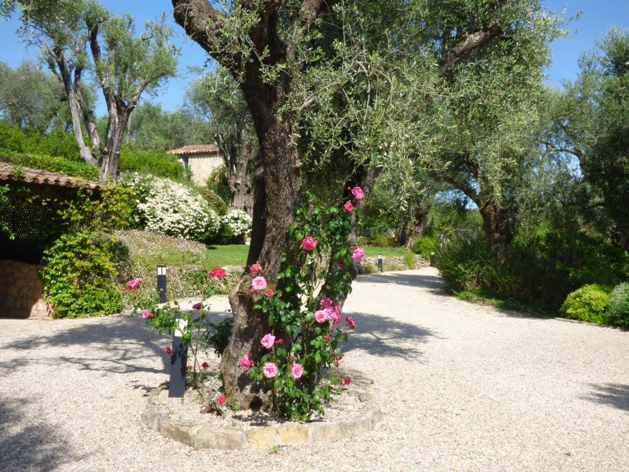 Apartment Picasso In Large Park With Heated Pool Chateauneuf-Grasse Εξωτερικό φωτογραφία